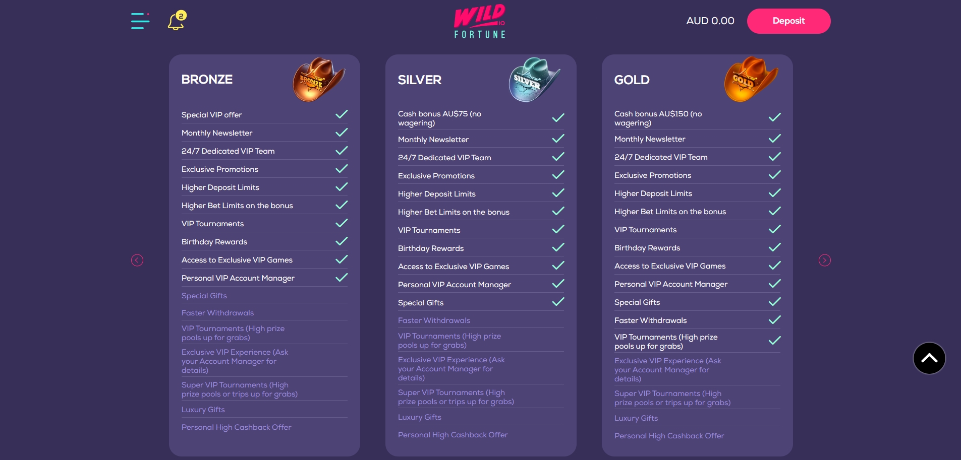 Technical interface view of the Wild Fortune app showing game lobby and user dashboard on a mobile device.