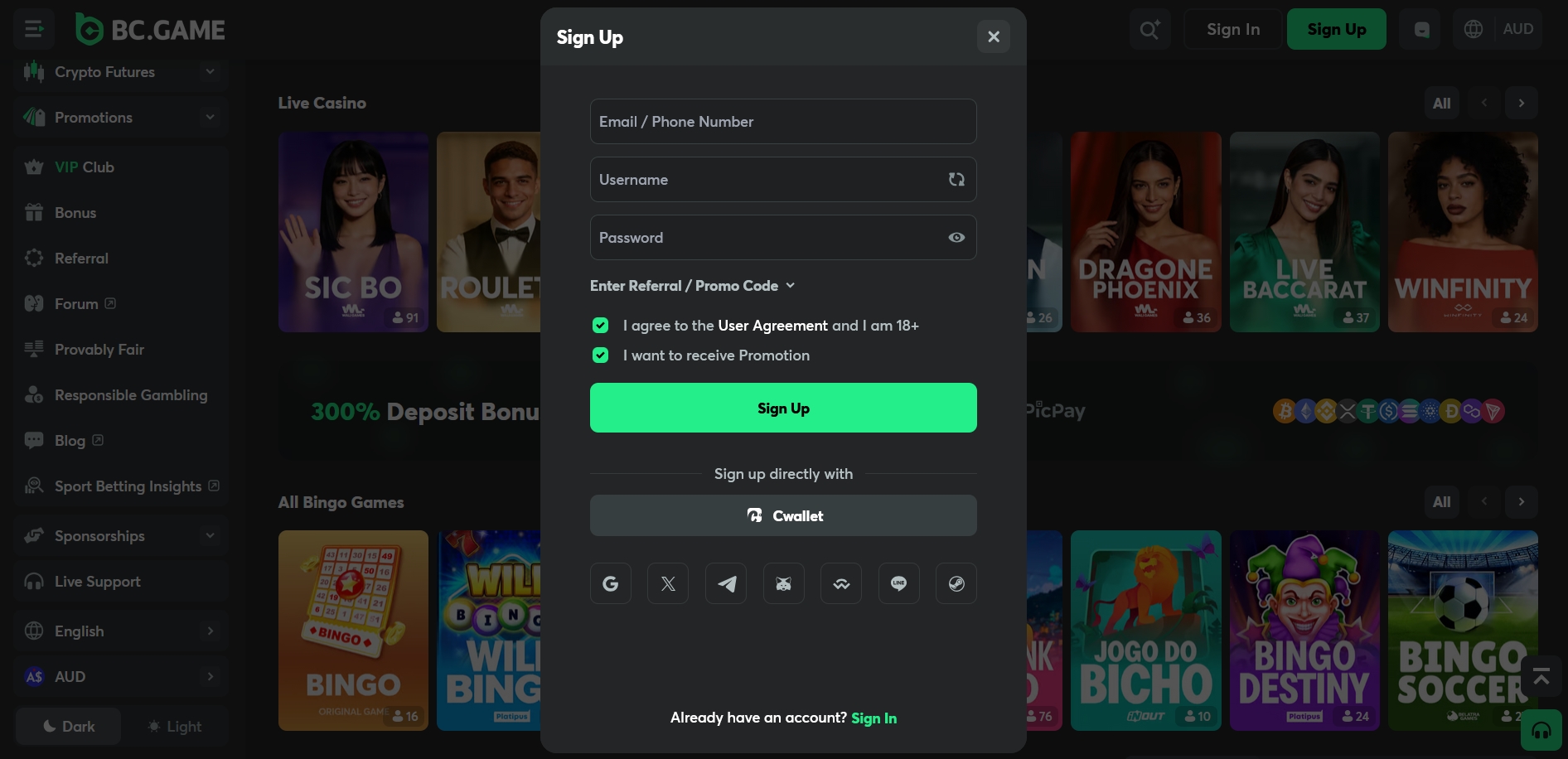 BC.Game Casino signup1