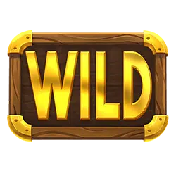It's shark time - wild