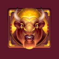 golden buffalo