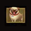 doghouse megaways Pug