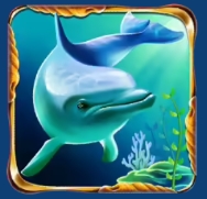 Pearl Pursuit dolphin