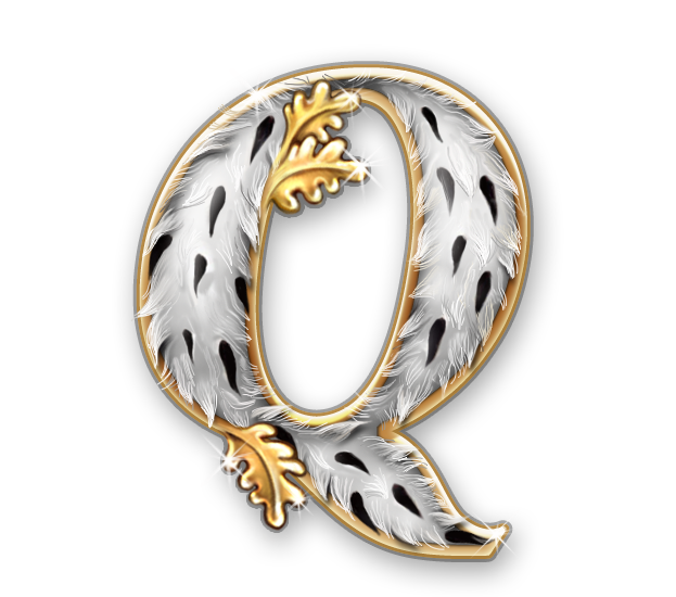 Piggy Riches Q symbol